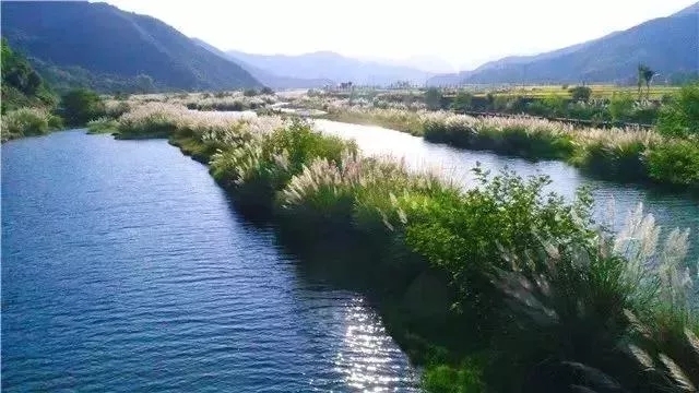 sfaaa3be5cde546ac81ae94692fcbaf8f